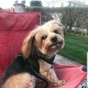 Meet your Posher, Rose